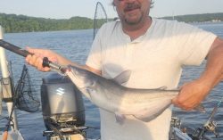 lake ozark catfish
