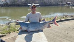 spoonbill charters on lake ozark